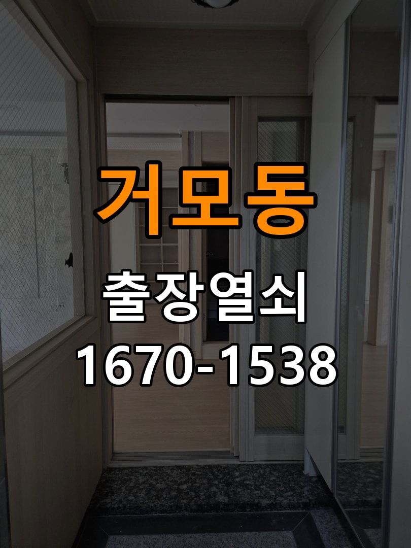 거모동 보조키 특수키 안전고리 추가 설치 특수 핀 실린더 보조키 및 빗장형 고급 안전고리 정밀 점검 및 교체