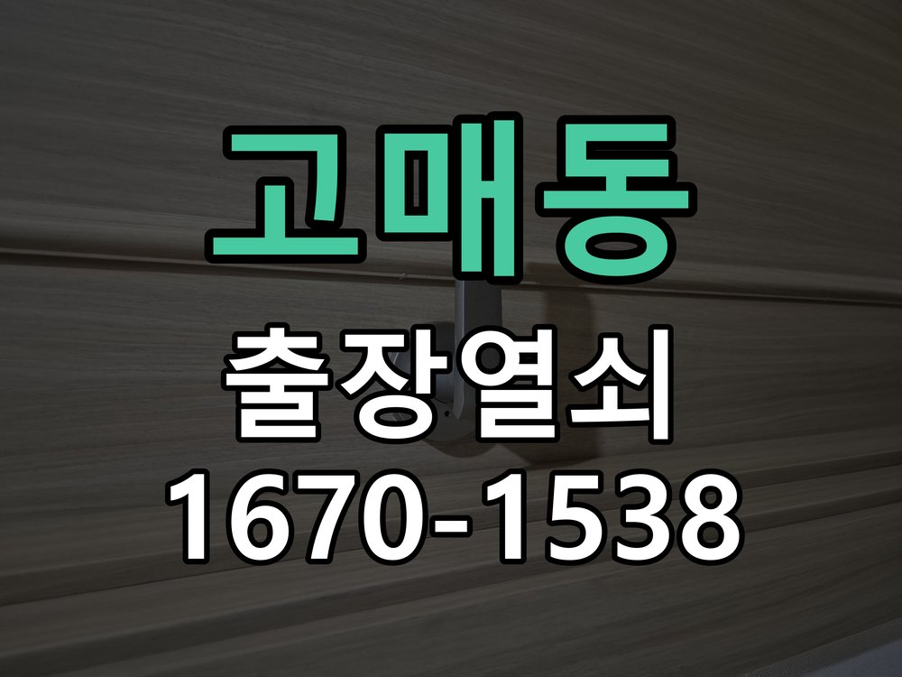 고매동 현관문 보조키 열쇠 분실 키통 교체 도어락 위의 특수 보조키 열쇠를 잃어버려 문을 열지 못함 현장 출장