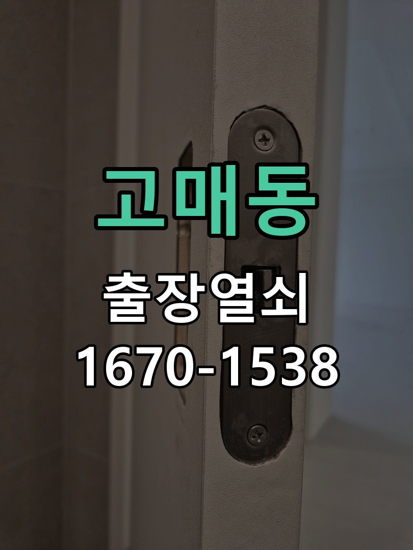 고매동 현관문 보조키 열쇠 분실 키통 교체 특수 딤플키 실린더 보조키 교체 정밀 점검 및 교체