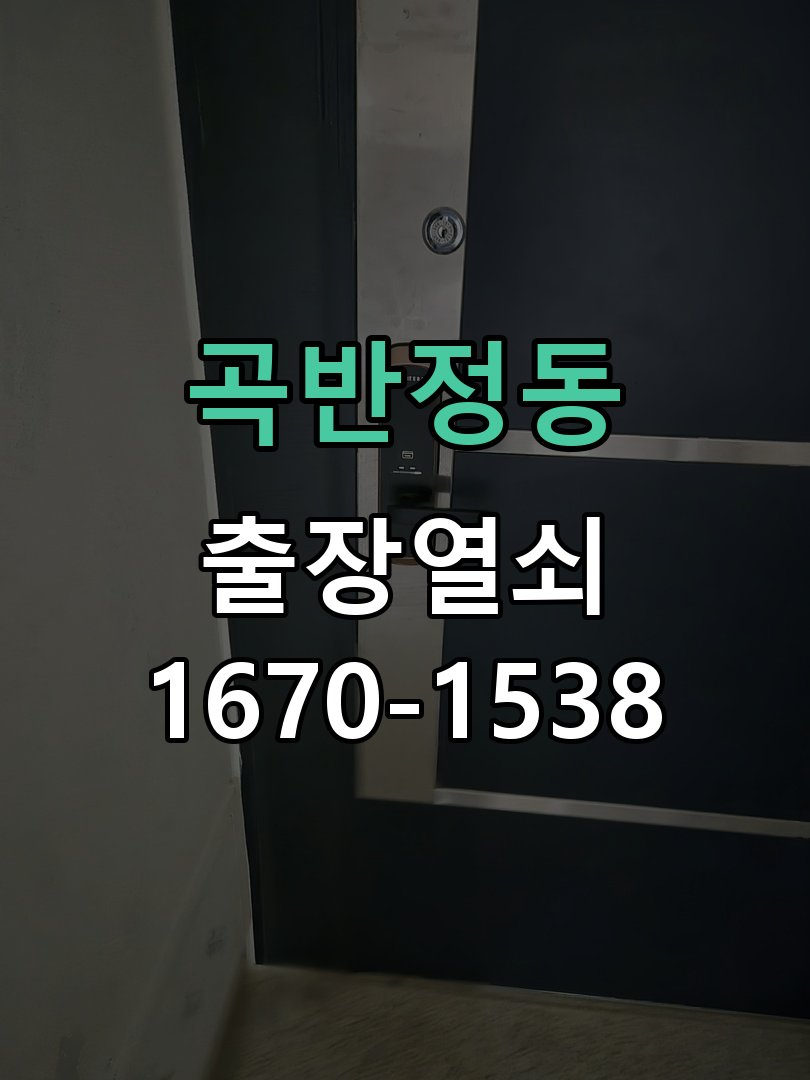 곡반정동 보조키 특수키 안전고리 추가 설치 도어락 외에 추가적인 이중 보안 잠금장치 필요 현장 출장