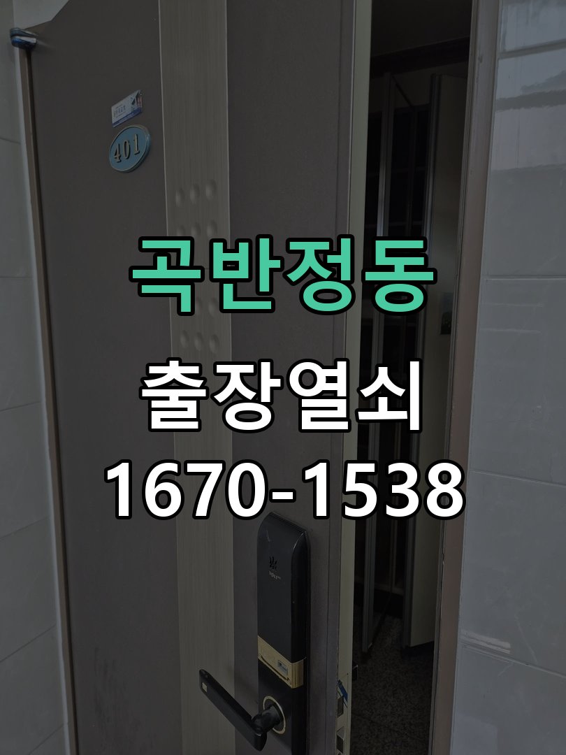 곡반정동 보조키 특수키 안전고리 추가 설치 특수 핀 실린더 보조키 및 빗장형 고급 안전고리 정밀 점검 및 교체