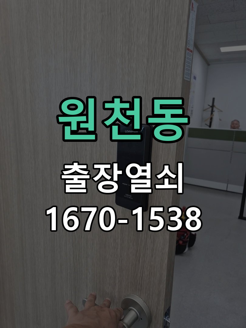 원천동 보조키 특수키 안전고리 추가 설치 특수 핀 실린더 보조키 및 빗장형 고급 안전고리 정밀 점검 및 교체