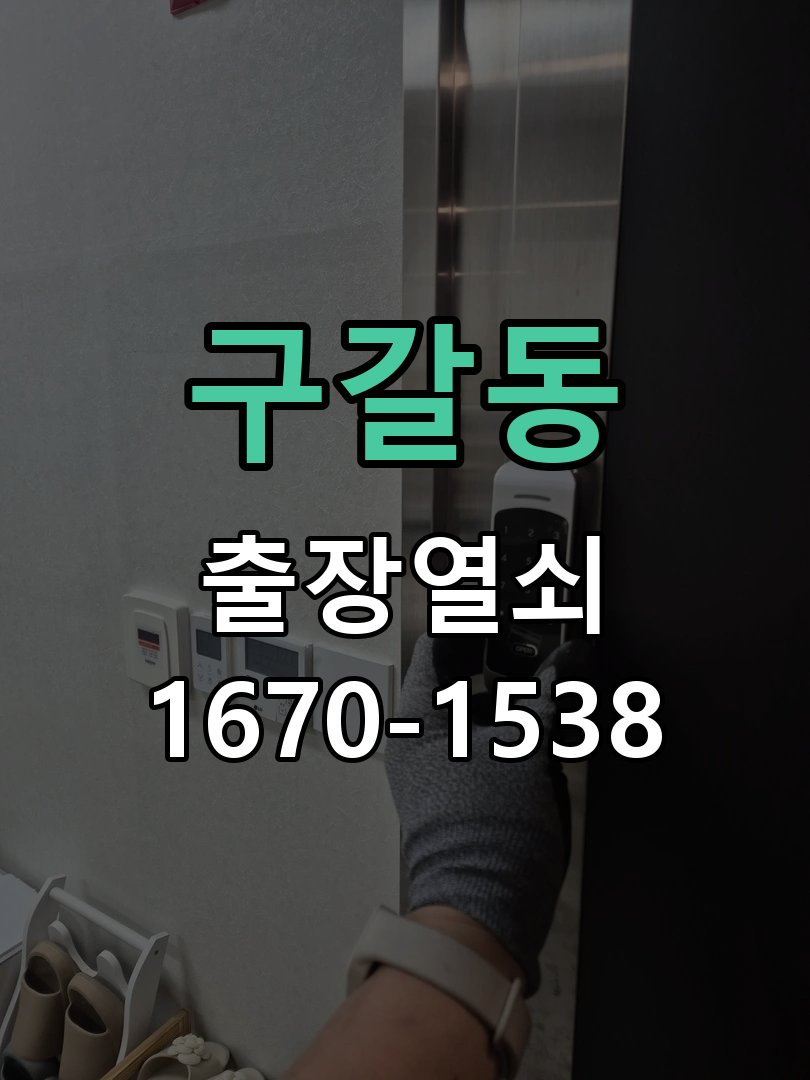 구갈동 창고 대문 개폐기 열쇠 고장 교체 AC 220V/DC 12V 호환 전자 대문 개폐기 정밀 점검 및 교체