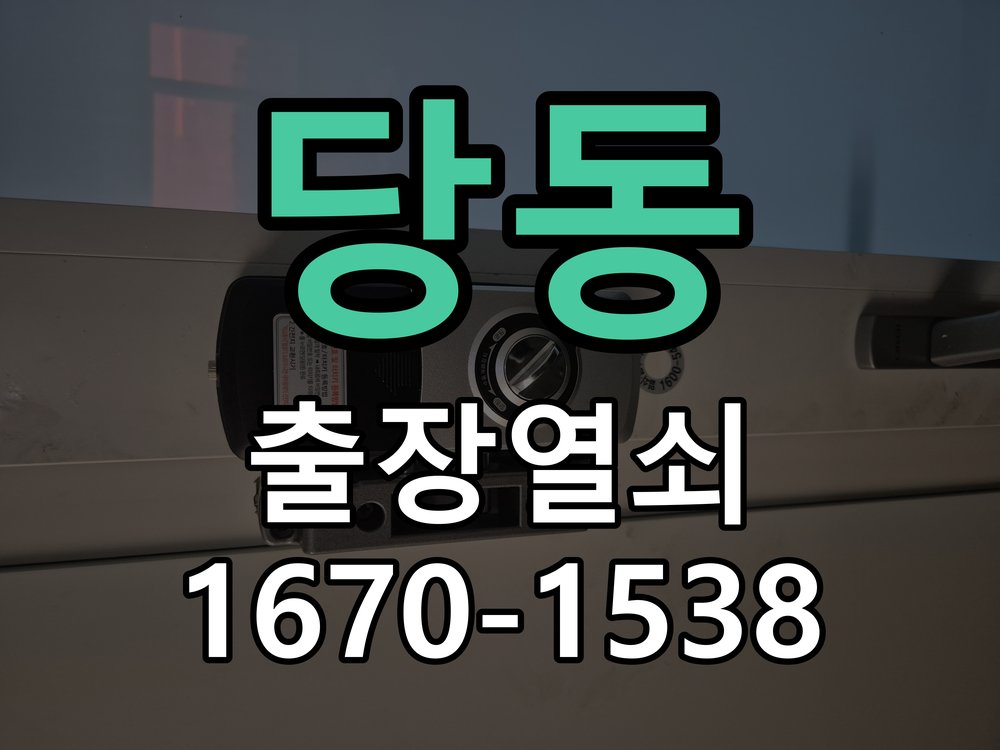 당동 도어락 경고음 삐삐삐 울릴때 조치법 문이 닫힌 뒤에도 삐삐삐 경고음이 수 초 간격으로 연속 발생 현장 출장