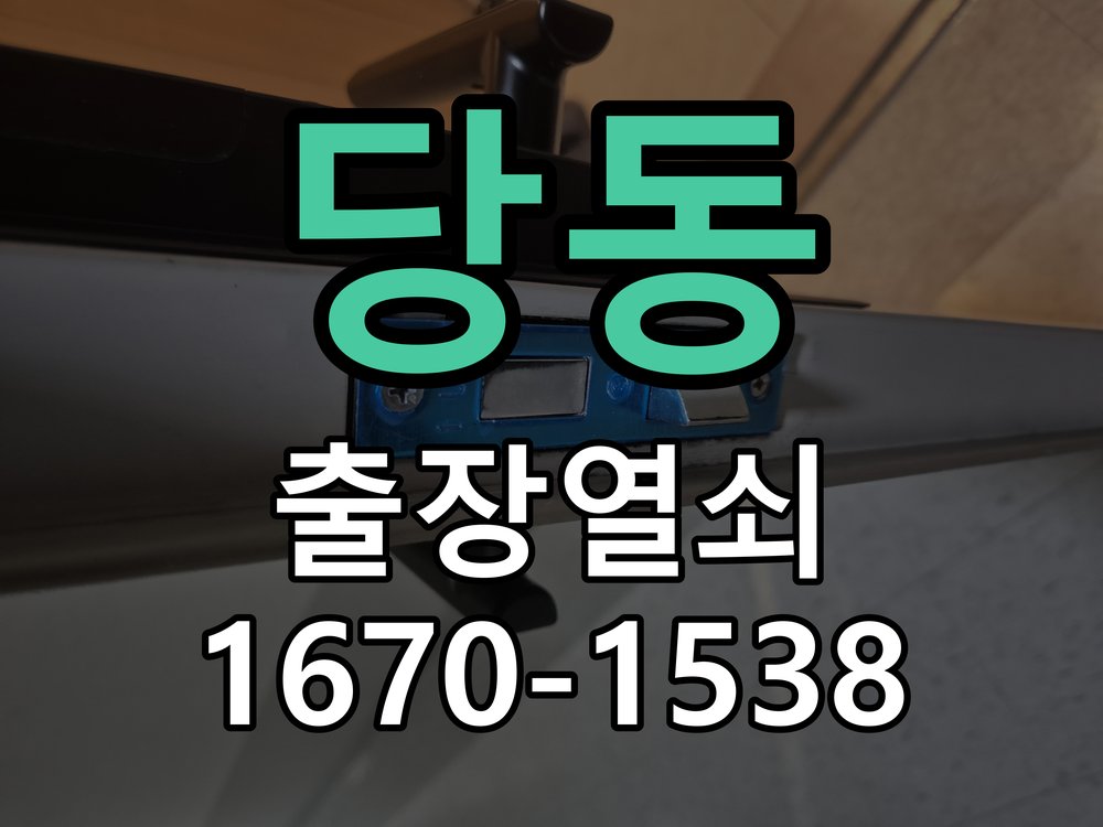 당동 도어락 경고음 삐삐삐 울릴때 조치법 스트라이커 가이드 위치 재조정 및 데드볼트 연마 정비 정밀 점검 및 교체