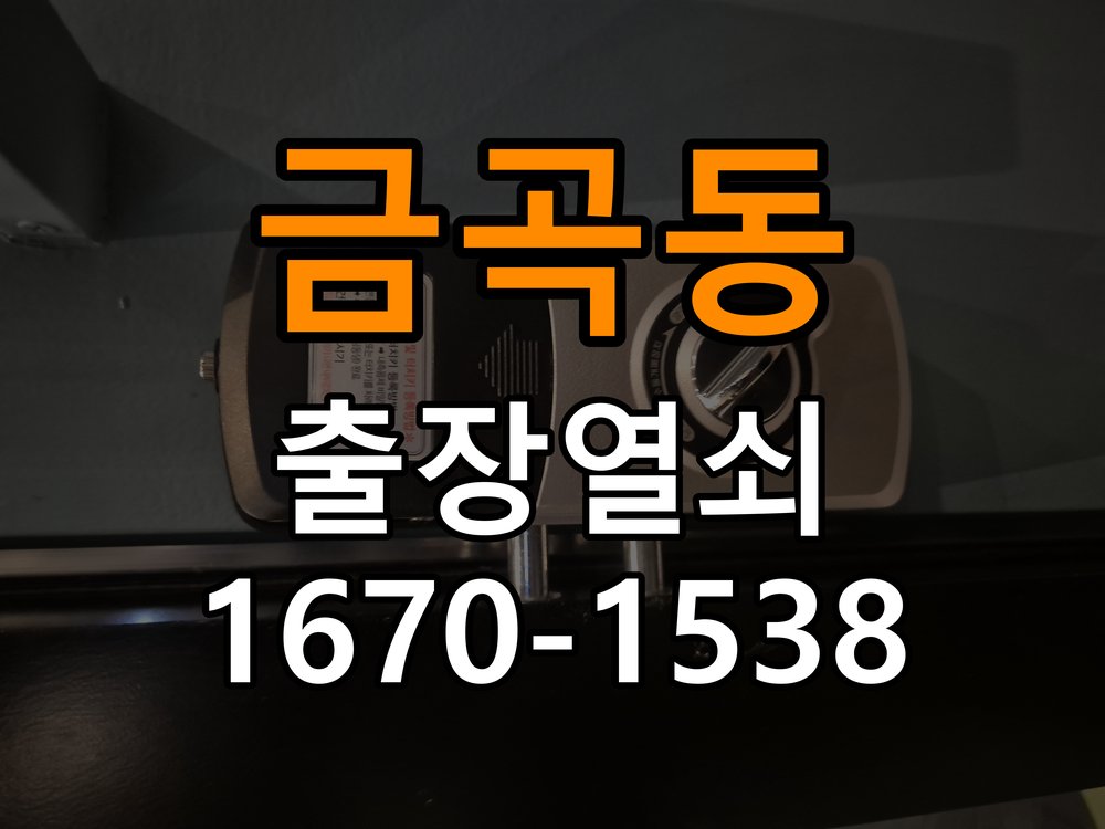 금곡동도어락 열쇠 출장 24시 단독주택 터치패드 자동 점등 증상 점검 참고 사진 1