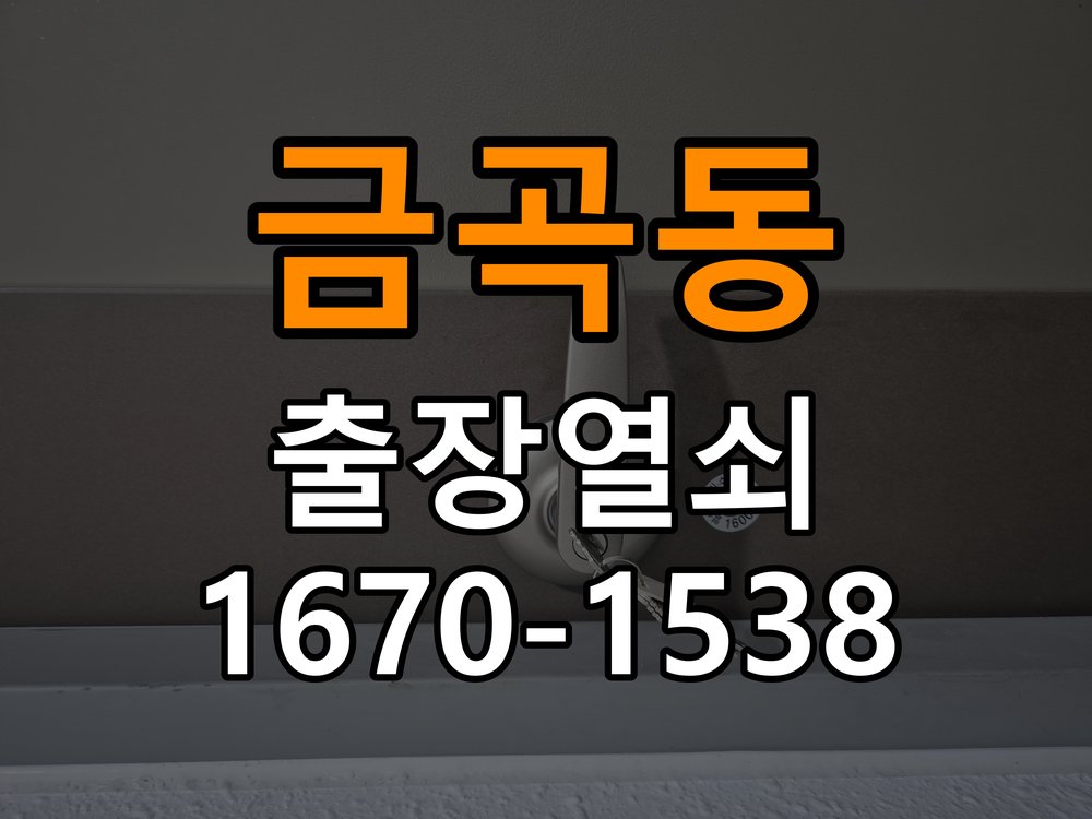 금곡동열쇠 지문인식 푸시풀 도어락 신규 교체 및 호환성 확인 참고 사진 1