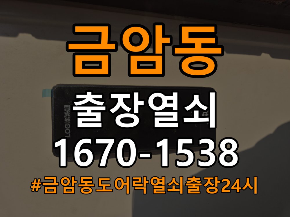 금암동도어락 열쇠 출장 24시 모티스 래치볼트 걸림 해결 참고 사진 2