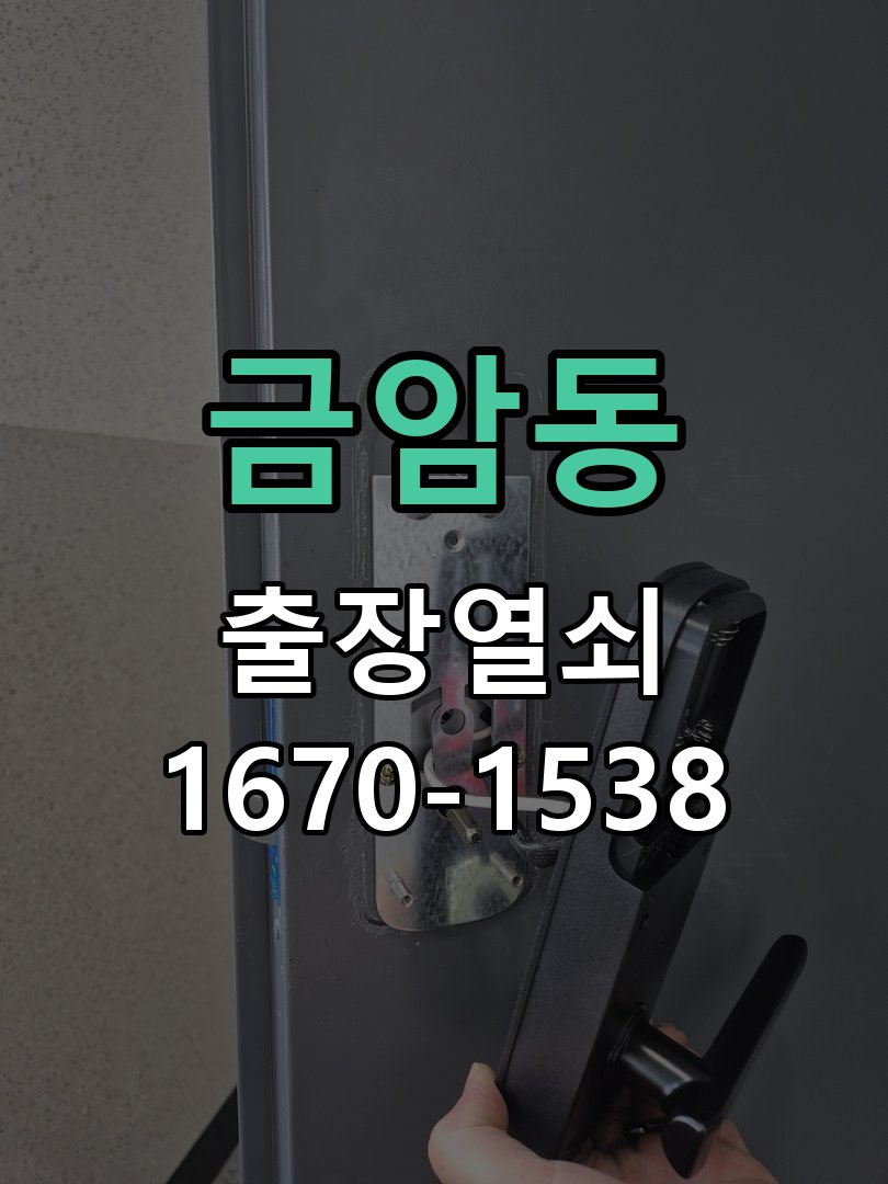 금암동 현관문 보조키 열쇠 분실 키통 교체 도어락 위의 특수 보조키 열쇠를 잃어버려 문을 열지 못함 현장 출장