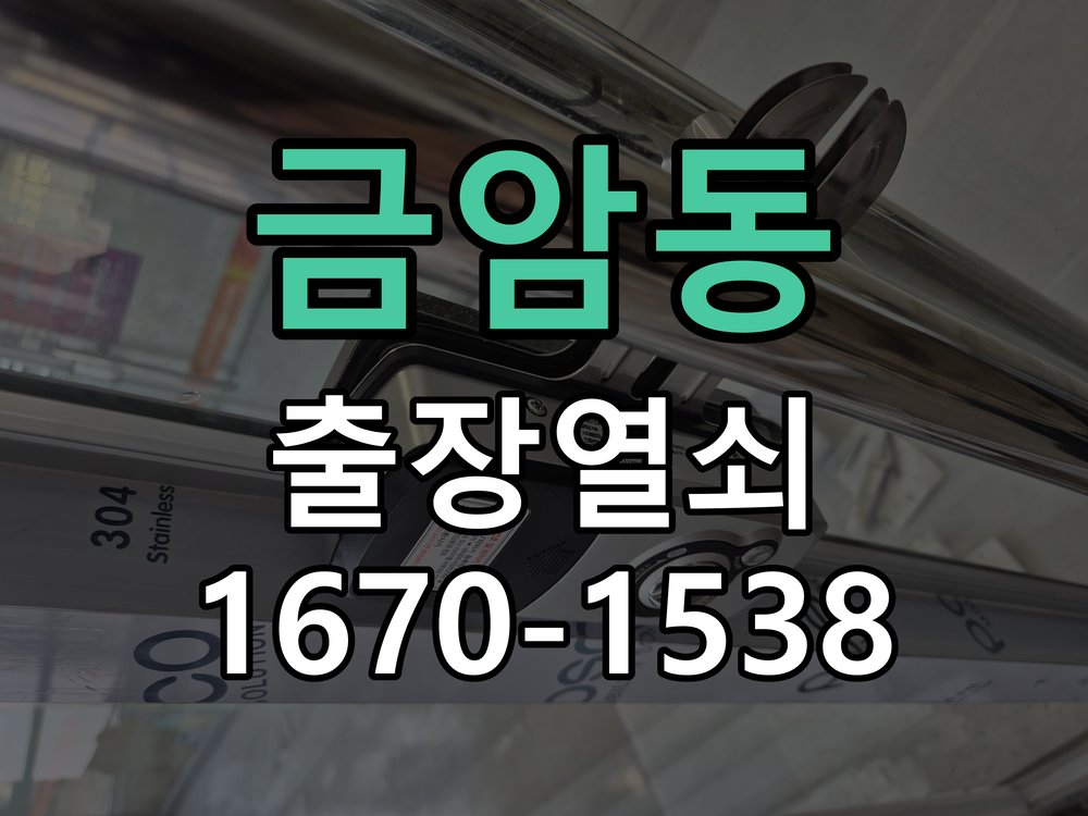 금암동 현관문 보조키 열쇠 분실 키통 교체 특수 딤플키 실린더 보조키 교체 정밀 점검 및 교체