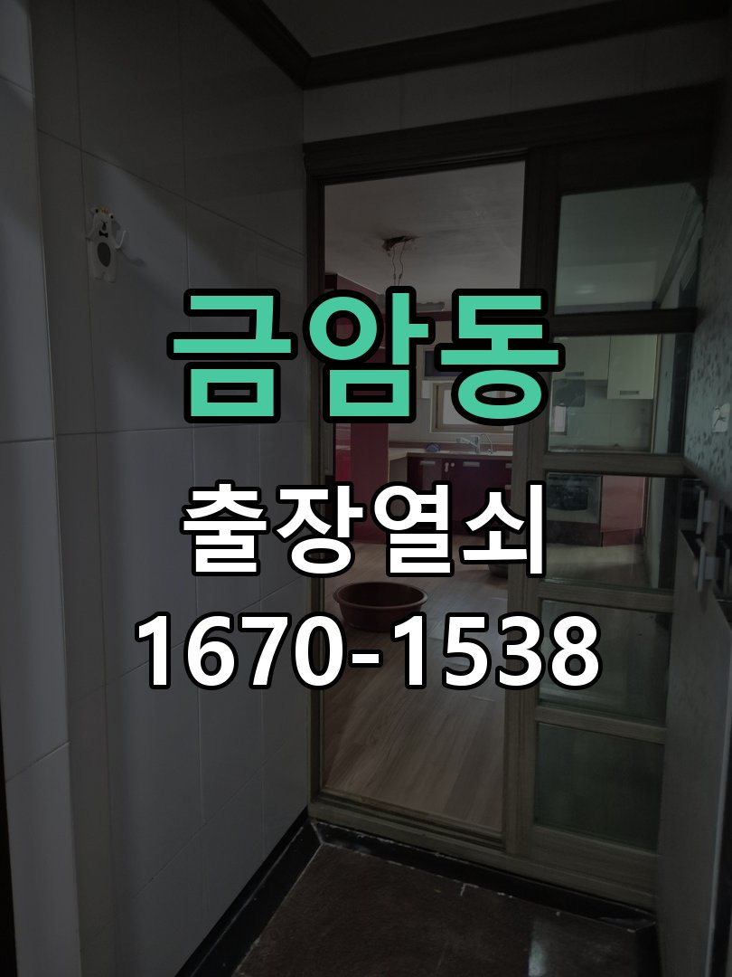 금암동 현관문 보조키 열쇠 분실 키통 교체 작업 완료 후 정상 작동 확인
