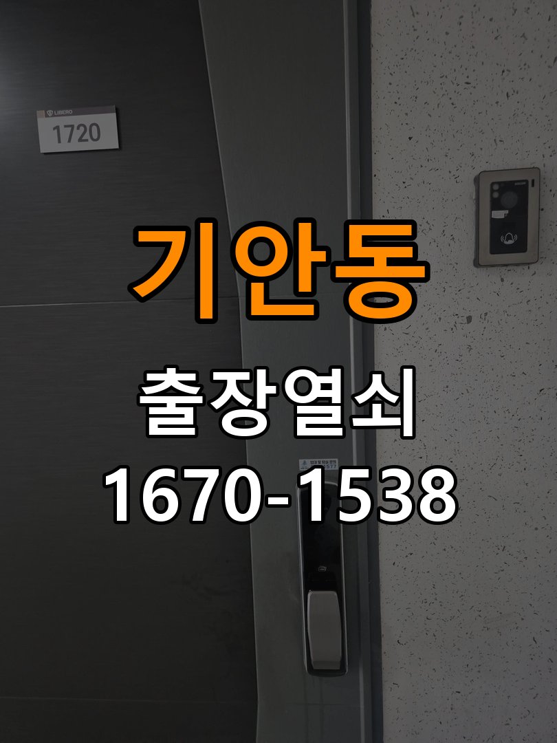 기안동열쇠 복도식 아파트 두꺼운 현관문 도어락 규격 확인 참고 사진 3