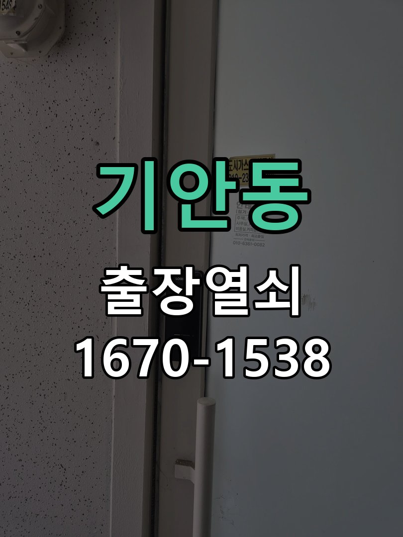 기안동 열쇠 부러짐 키 실린더 교체 정밀 핀 실린더 뭉치 및 열쇠 3개 세트 정밀 점검 및 교체