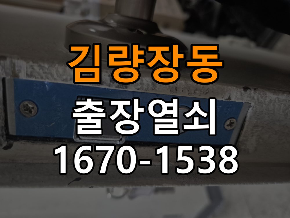 김량장동열쇠 사무실 도어락 작동 불능 및 모터 소음 점검 가이드 참고 사진 1