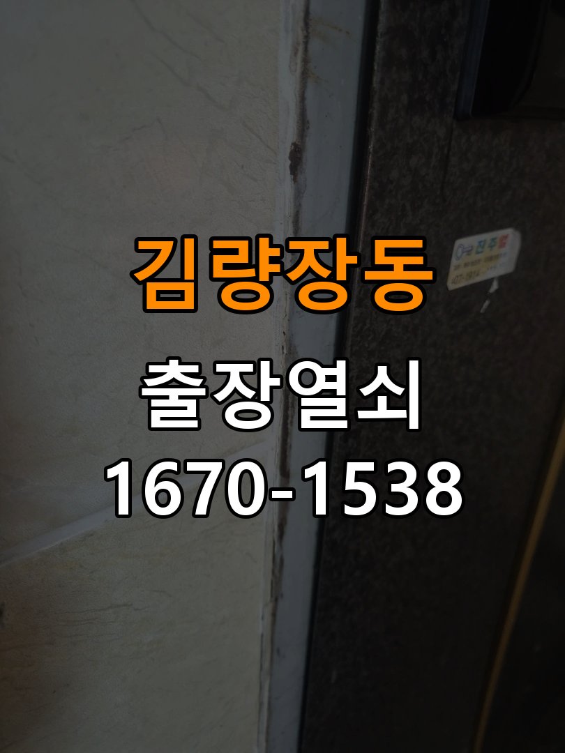김량장동열쇠 사무실 도어락 작동 불능 및 모터 소음 점검 가이드 참고 사진 3