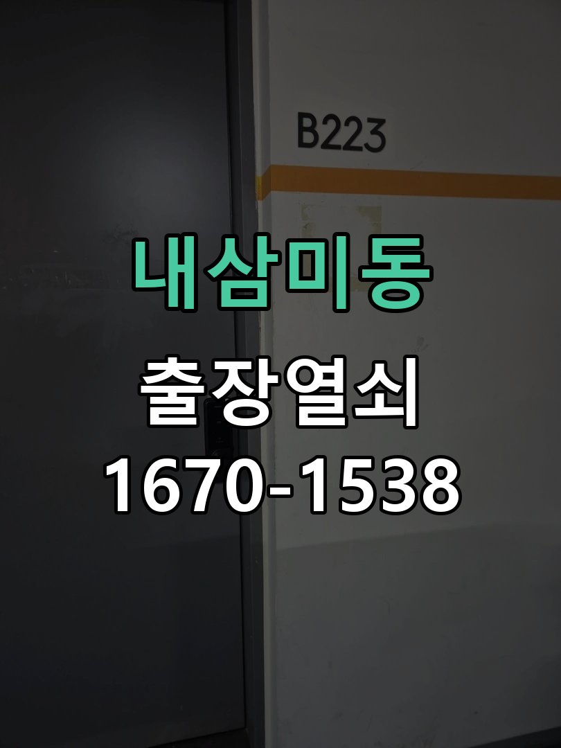 내삼미동 창고 대문 개폐기 열쇠 고장 교체 AC 220V/DC 12V 호환 전자 대문 개폐기 정밀 점검 및 교체