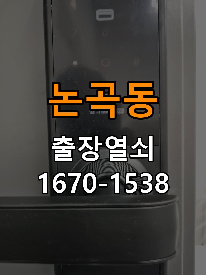 논곡동 창고 대문 개폐기 열쇠 고장 교체 주택 대문 개폐기 버튼을 눌러도 문이 열리지 않고 걸림 현장 출장