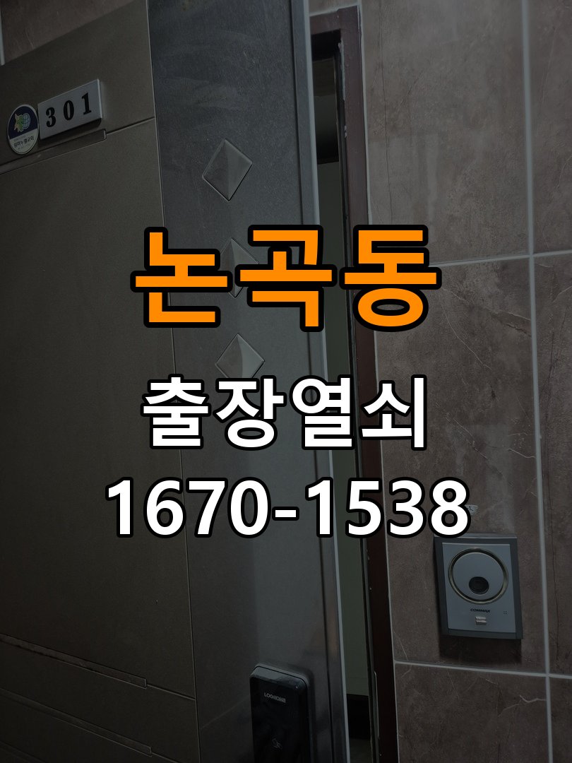 논곡동 창고 대문 개폐기 열쇠 고장 교체 AC 220V/DC 12V 호환 전자 대문 개폐기 정밀 점검 및 교체