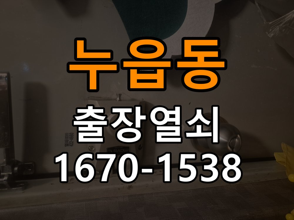 누읍동열쇠 반지하 주택 현관문 잠금받이 주변 나무 균열 점검 참고 사진 2
