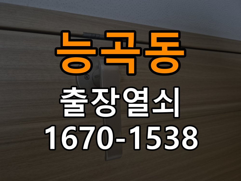 능곡동 열쇠 부러짐 키 실린더 교체 정밀 핀 실린더 뭉치 및 열쇠 3개 세트 정밀 점검 및 교체