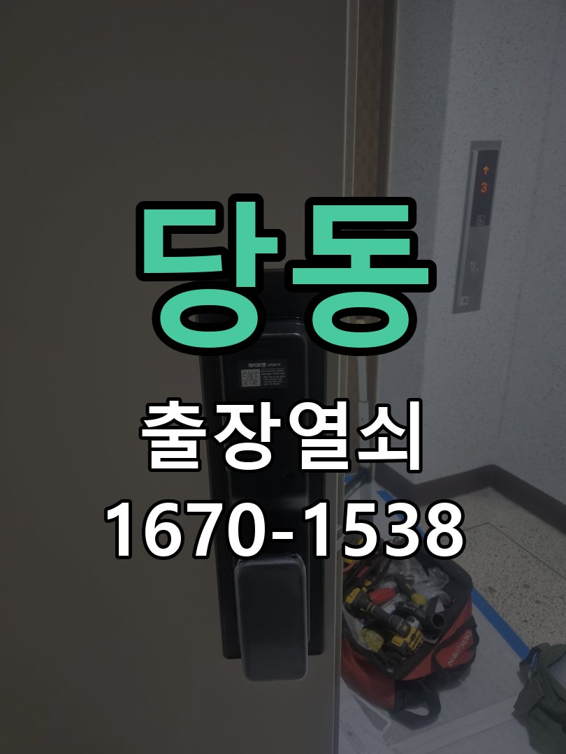 당동 화장실문 잠겼을때 손잡이 고장 개문 화장실 문 안쪽 잠금 핀이 걸려 밖에서 열리지 않는 상태 현장 출장