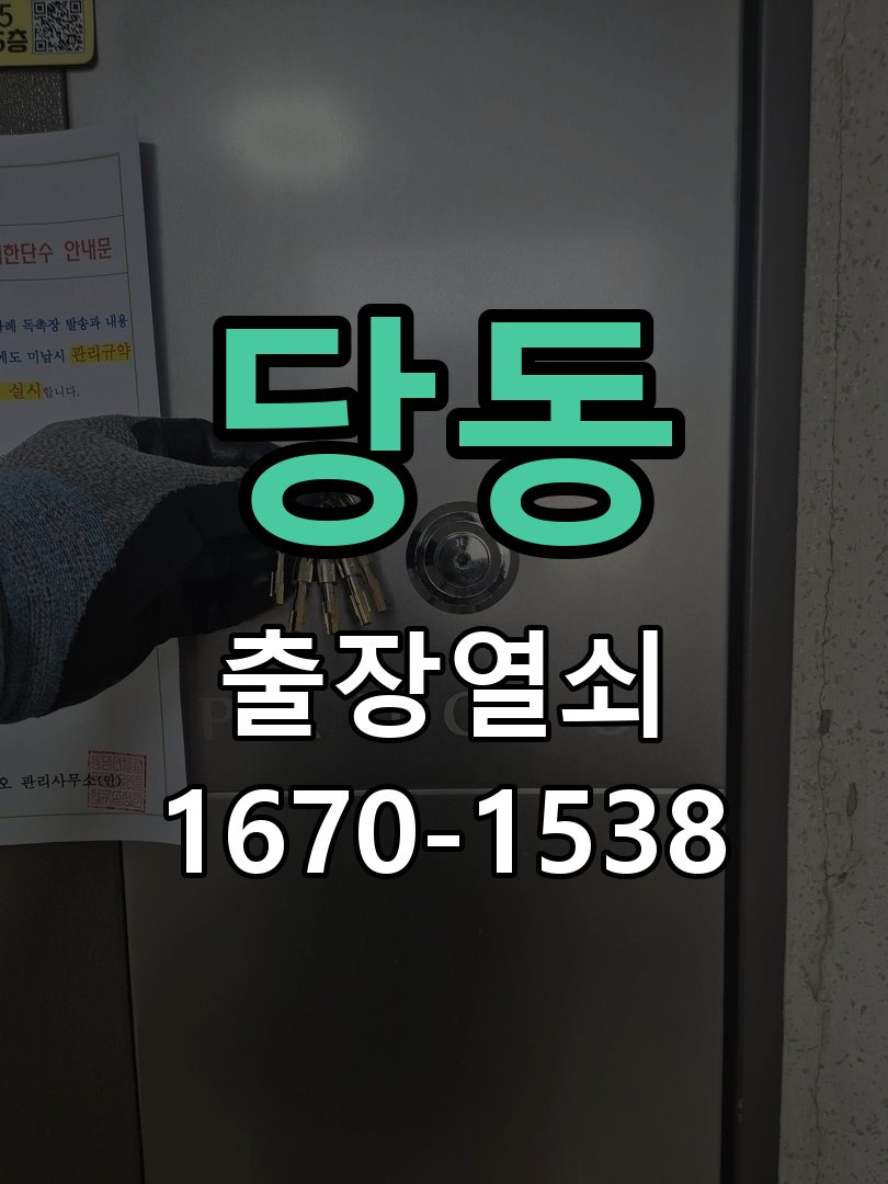 당동 화장실문 잠겼을때 손잡이 고장 개문 방수형 욕실 레버 핸들 및 내부 래치 모듈 교체 정밀 점검 및 교체