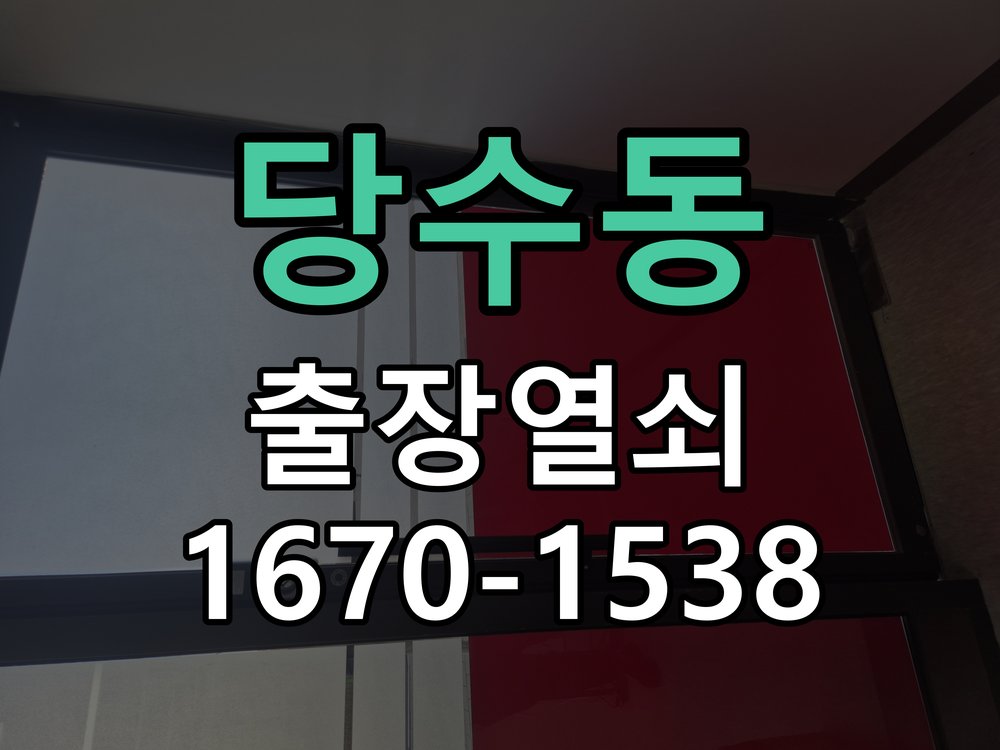 당수동 보조키 특수키 안전고리 추가 설치 도어락 외에 추가적인 이중 보안 잠금장치 필요 현장 출장