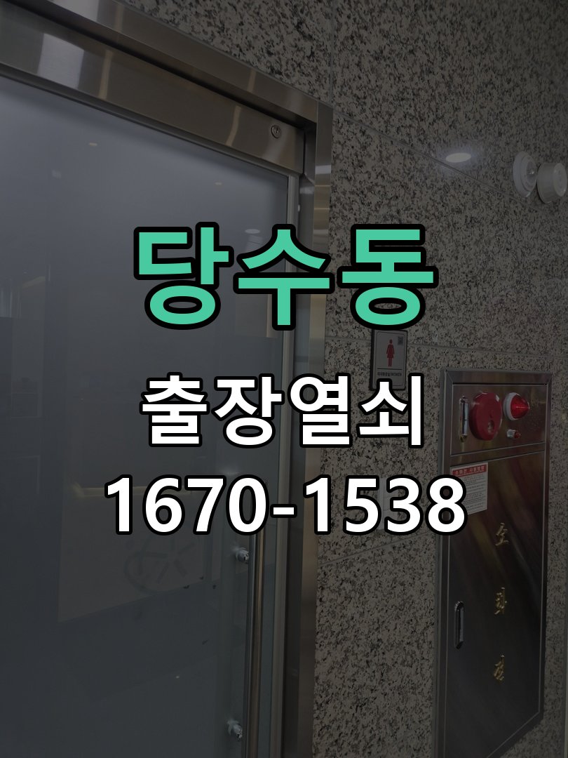당수동 보조키 특수키 안전고리 추가 설치 특수 핀 실린더 보조키 및 빗장형 고급 안전고리 정밀 점검 및 교체