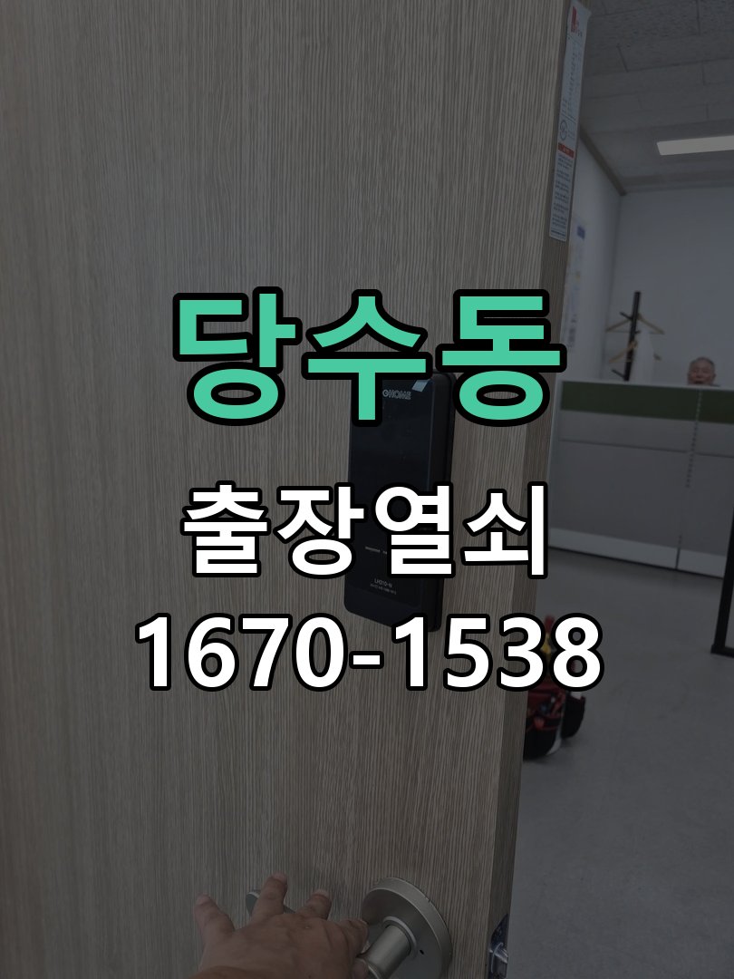 당수동 보조키 특수키 안전고리 추가 설치 작업 완료 후 정상 작동 확인
