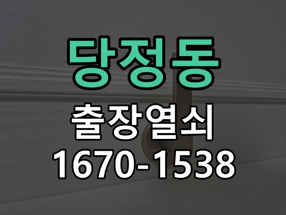 당정동 지문인식 도어락 지문 미인식 해결 작업 완료 후 정상 작동 확인