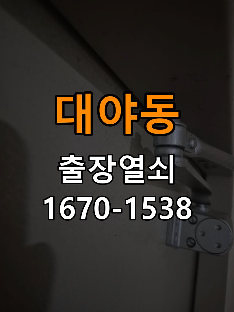 대야동 보조키 특수키 안전고리 추가 설치 도어락 외에 추가적인 이중 보안 잠금장치 필요 현장 출장
