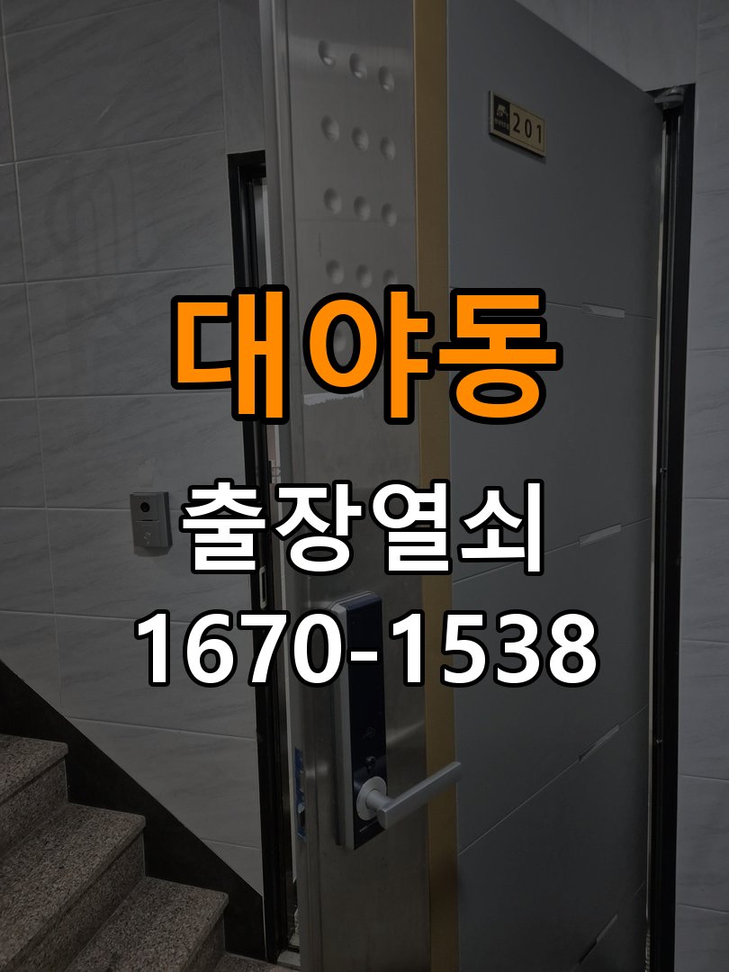 대야동 보조키 특수키 안전고리 추가 설치 특수 핀 실린더 보조키 및 빗장형 고급 안전고리 정밀 점검 및 교체