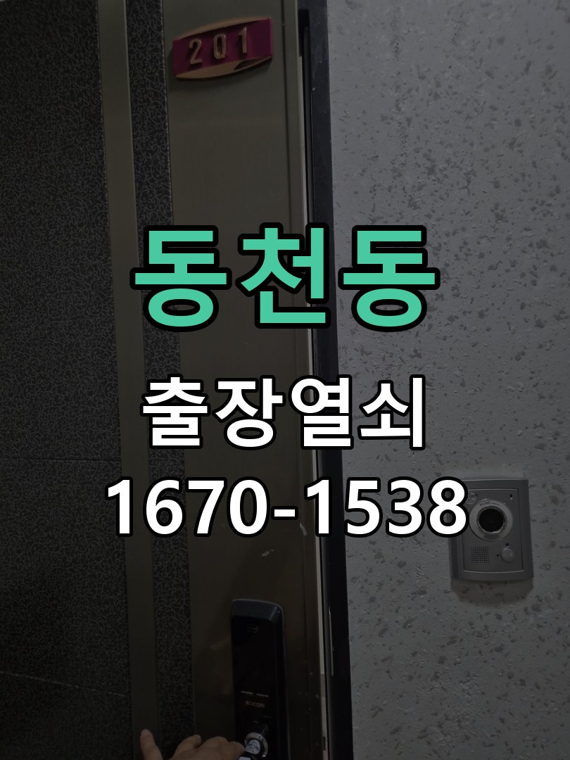 동천동 보조키 특수키 안전고리 추가 설치 특수 핀 실린더 보조키 및 빗장형 고급 안전고리 정밀 점검 및 교체