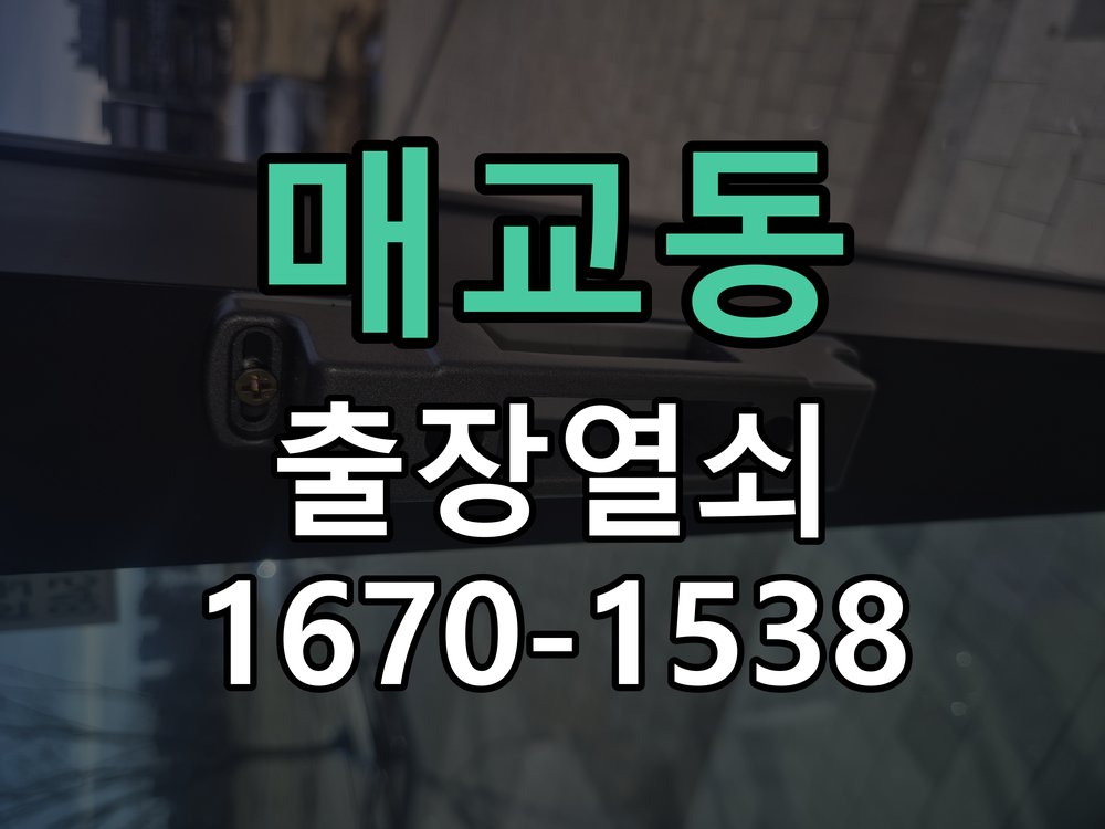 매교동 보조키 특수키 안전고리 추가 설치 도어락 외에 추가적인 이중 보안 잠금장치 필요 현장 출장