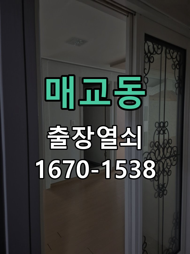 매교동 보조키 특수키 안전고리 추가 설치 특수 핀 실린더 보조키 및 빗장형 고급 안전고리 정밀 점검 및 교체