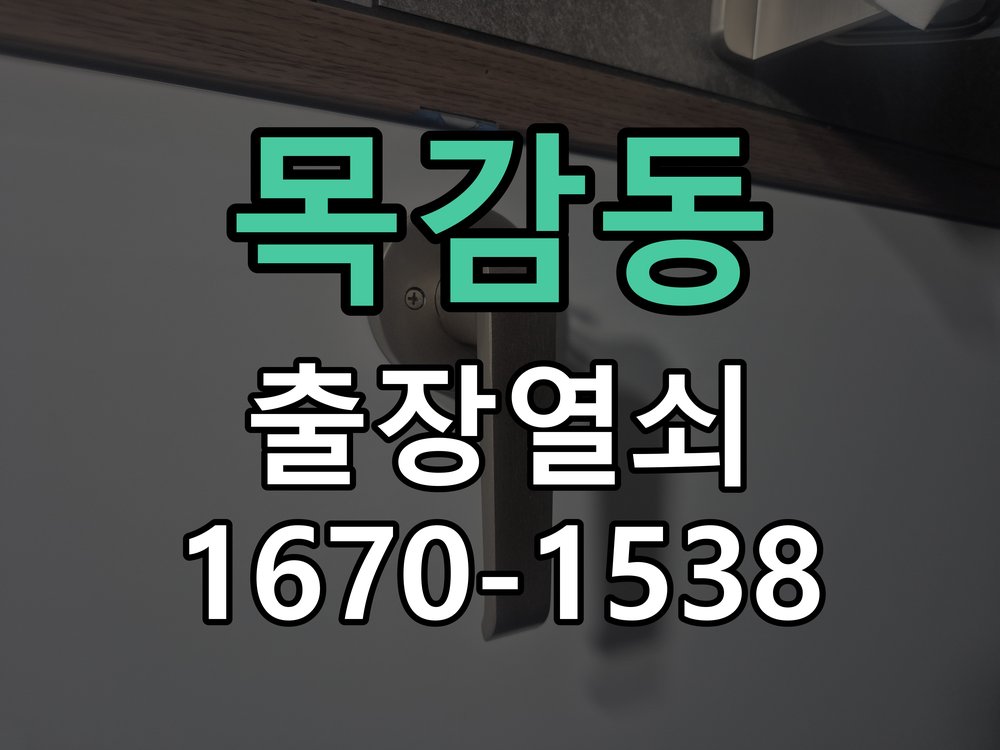 목감동 세이프도어 가마찌도어 좁은문 번호키 시공 초슬림형 세이프도어 전용 주키 도어락 정밀 점검 및 교체