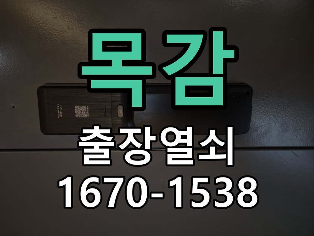 목감 도어락 이중잠금 내부잠금 해제 방법 파손 최소화 기술 개문 공구 세트 정밀 점검 및 교체