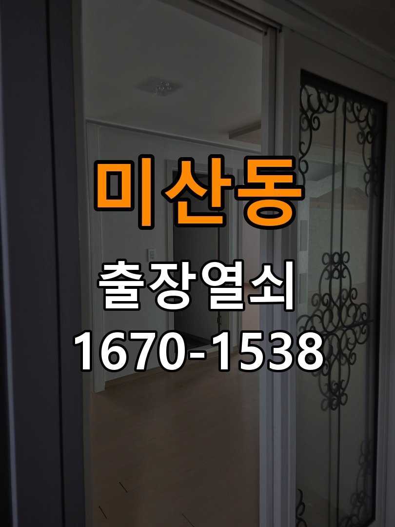 미산동 보조키 특수키 안전고리 추가 설치 특수 핀 실린더 보조키 및 빗장형 고급 안전고리 정밀 점검 및 교체