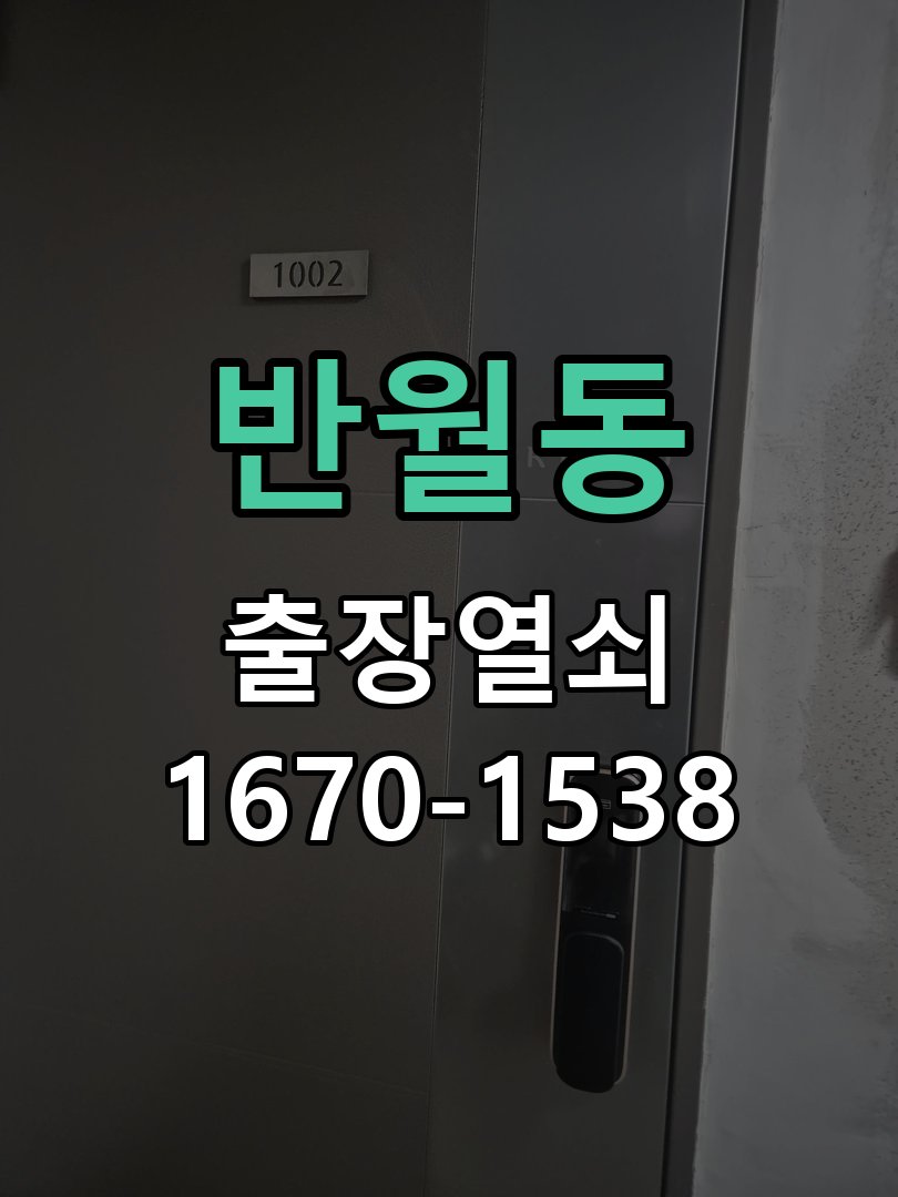 반월동 보조키 특수키 안전고리 추가 설치 특수 핀 실린더 보조키 및 빗장형 고급 안전고리 정밀 점검 및 교체