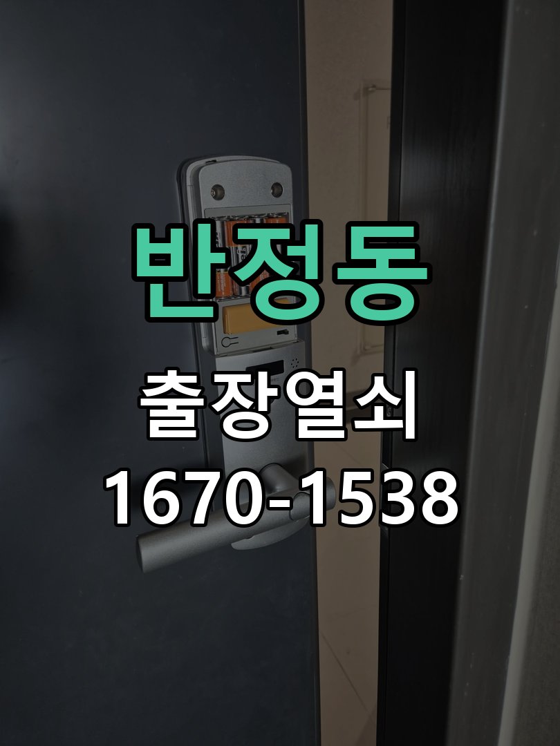반정동 보조키 특수키 안전고리 추가 설치 도어락 외에 추가적인 이중 보안 잠금장치 필요 현장 출장
