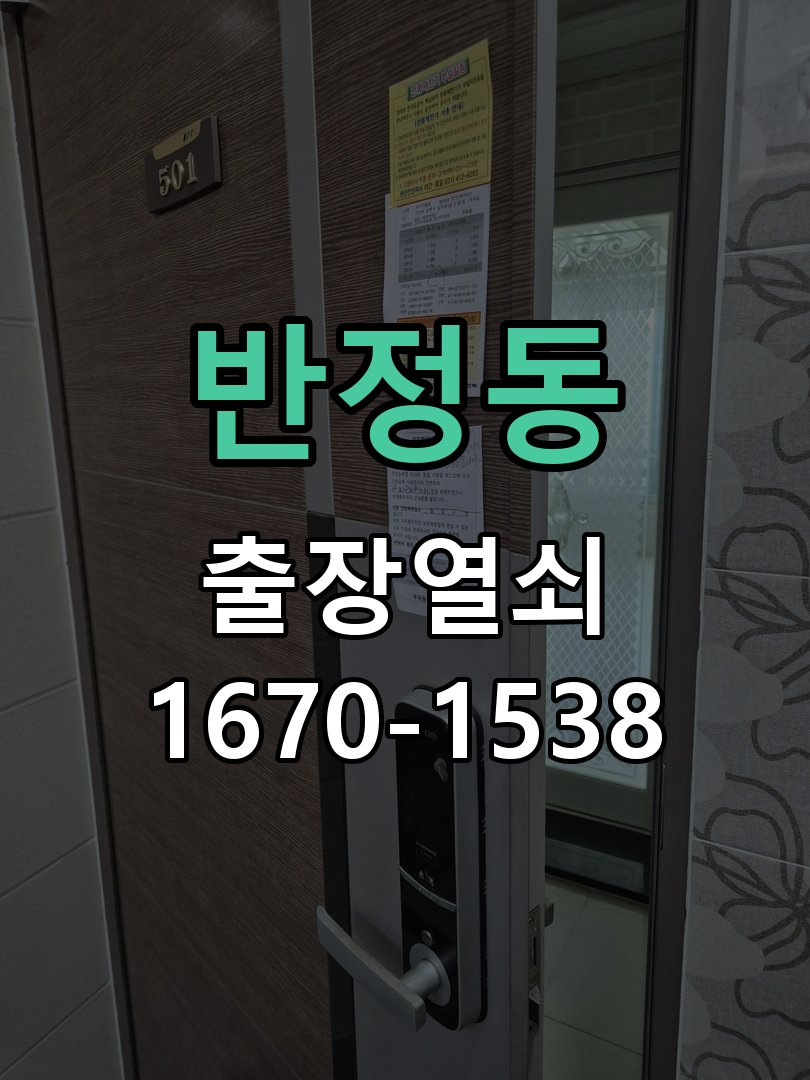 반정동 보조키 특수키 안전고리 추가 설치 특수 핀 실린더 보조키 및 빗장형 고급 안전고리 정밀 점검 및 교체