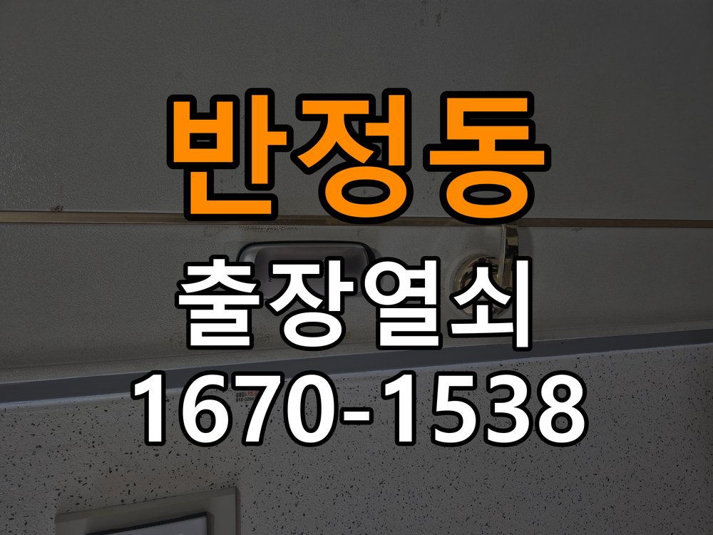 반정동 현관문 처짐 도어클로저 닫힘 속도 조절 - 갑자기 증상이 심해졌을 때 대응 K250 규격 유압식 방화문 도어체크 교체 정밀 점검 및 교체