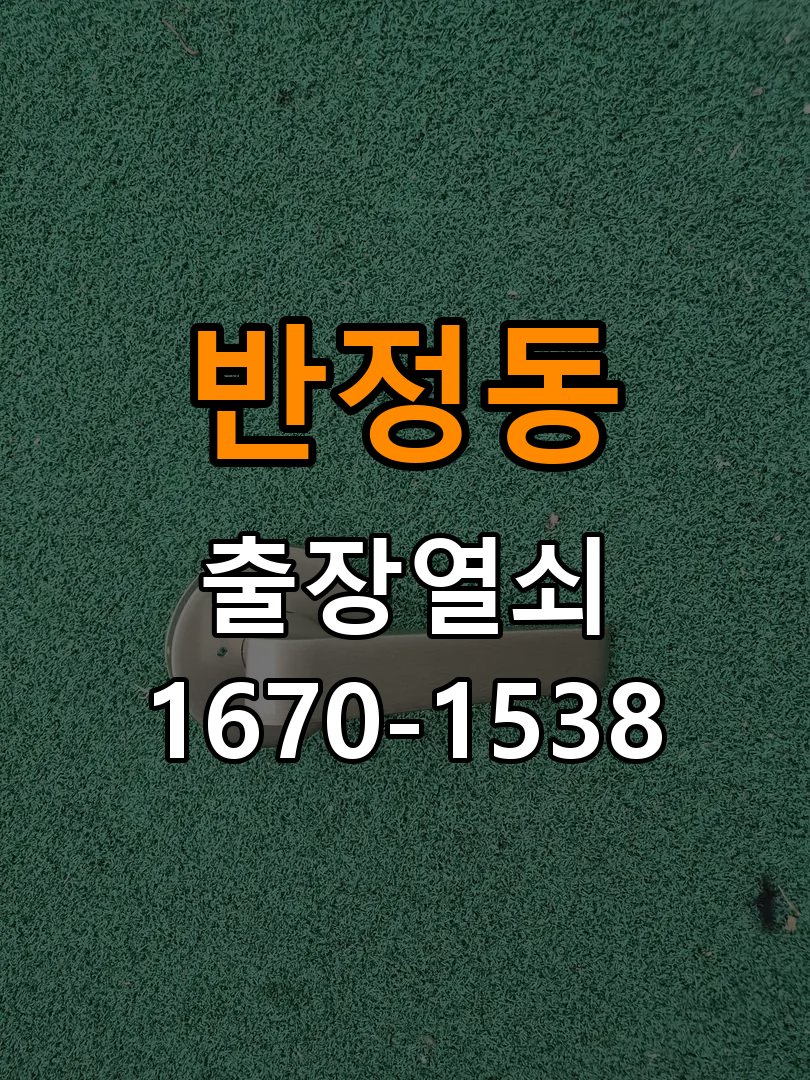 반정동 현관문 처짐 도어클로저 닫힘 속도 조절 - 갑자기 증상이 심해졌을 때 대응 작업 완료 후 정상 작동 확인