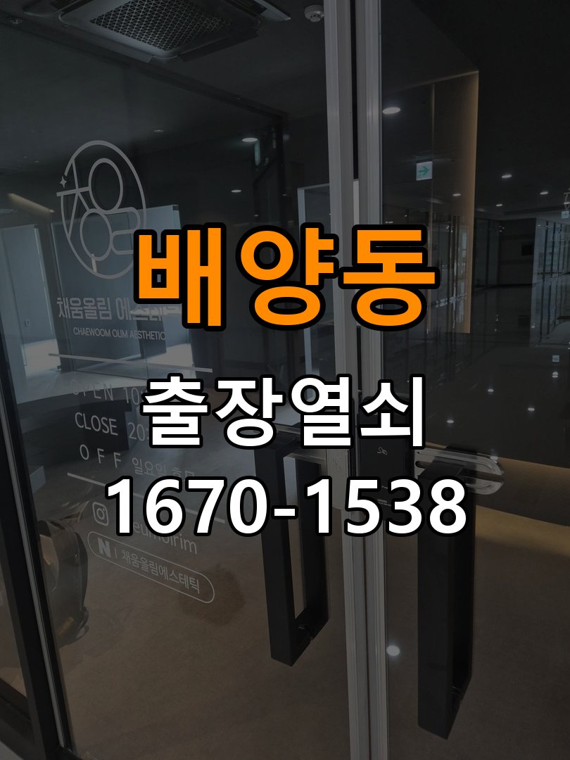 배양동 도어락 건전지를 바꿔도 전원이 끊기는 접촉 불량 점검 - 전화 상담 준비방법 배터리 홀더와 연결 단자 정밀 점검 및 교체