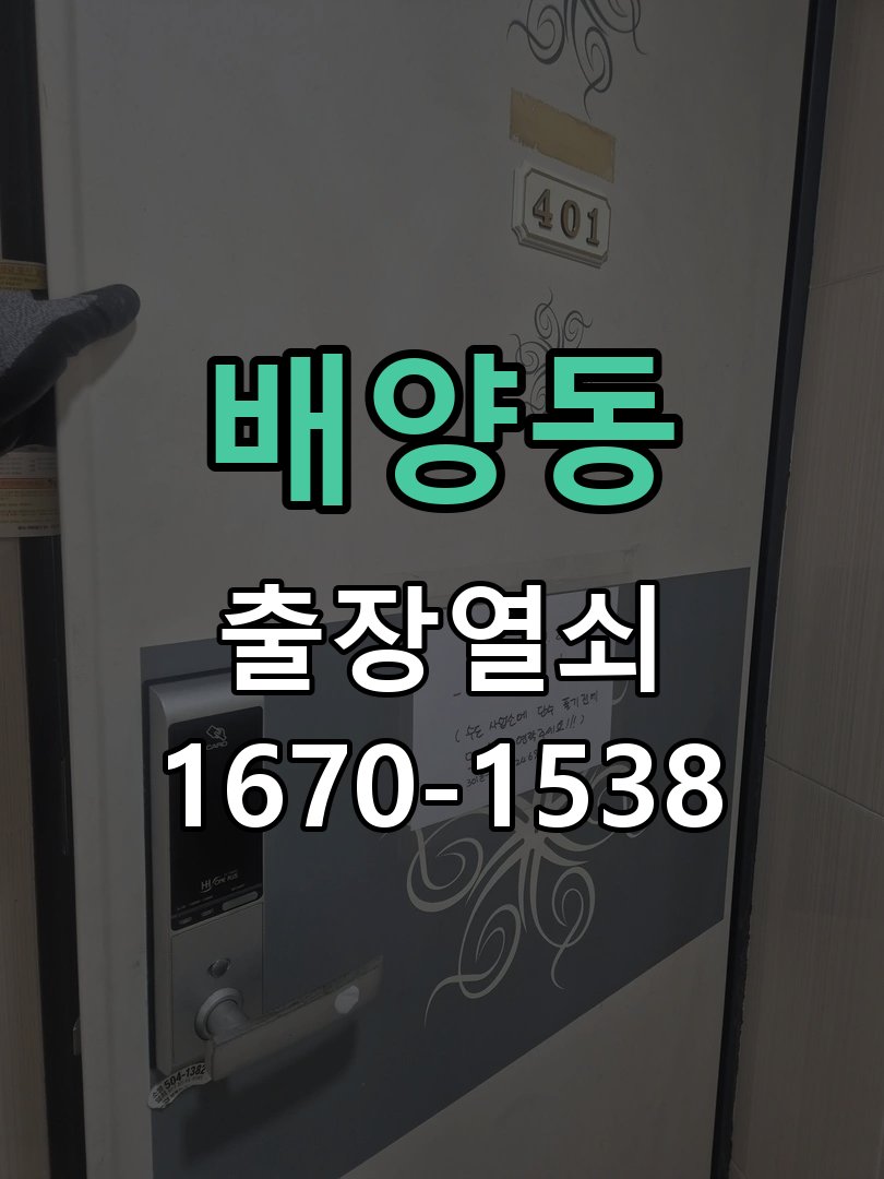 배양동 창고 대문 개폐기 열쇠 고장 교체 AC 220V/DC 12V 호환 전자 대문 개폐기 정밀 점검 및 교체