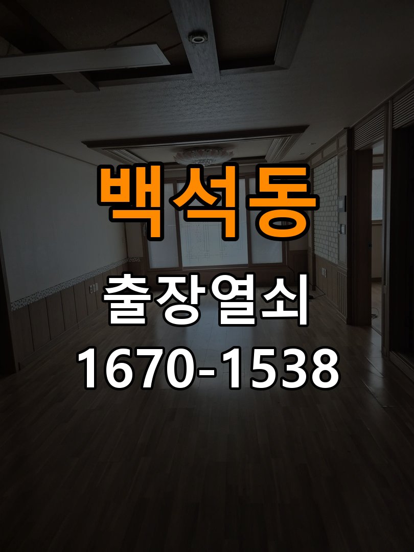 백석동 창고 대문 개폐기 열쇠 고장 교체 주택 대문 개폐기 버튼을 눌러도 문이 열리지 않고 걸림 현장 출장