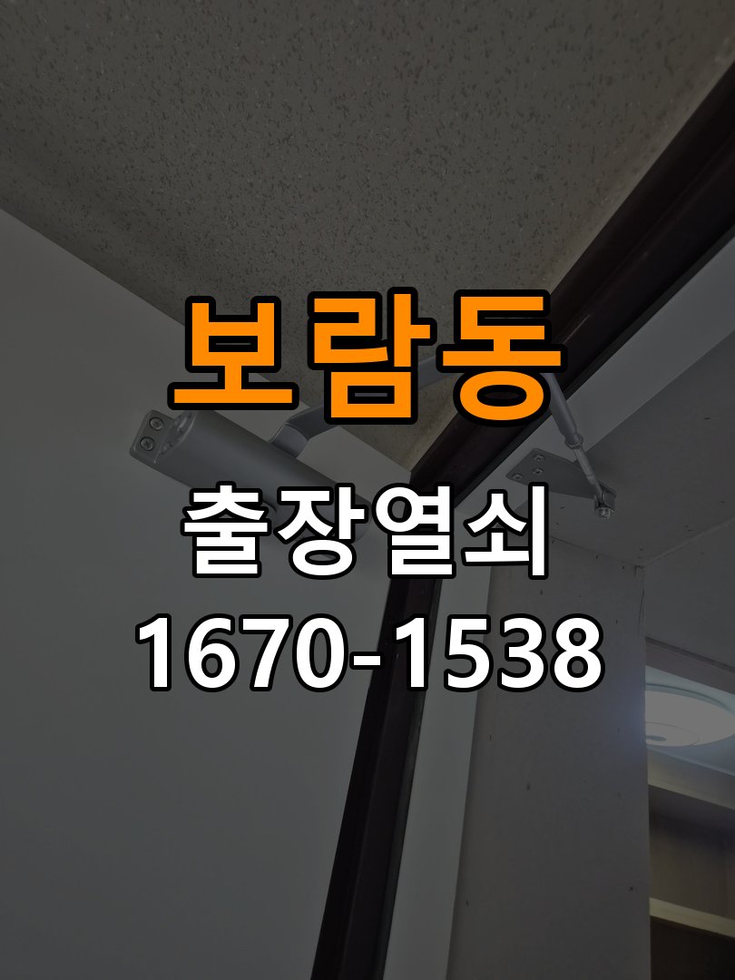 보람동 보조키 특수키 안전고리 추가 설치 도어락 외에 추가적인 이중 보안 잠금장치 필요 현장 출장