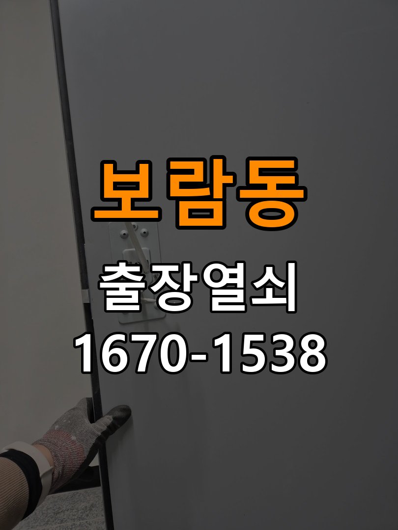 보람동 보조키 특수키 안전고리 추가 설치 특수 핀 실린더 보조키 및 빗장형 고급 안전고리 정밀 점검 및 교체