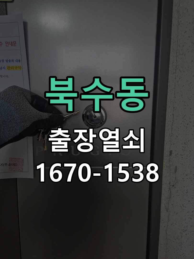 북수동 보조키 특수키 안전고리 추가 설치 특수 핀 실린더 보조키 및 빗장형 고급 안전고리 정밀 점검 및 교체