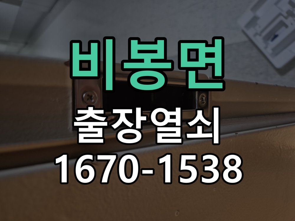 비봉면 보조키 특수키 안전고리 추가 설치 특수 핀 실린더 보조키 및 빗장형 고급 안전고리 정밀 점검 및 교체